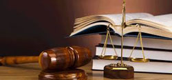 Litigation Support & Sr. Law Clerk Services